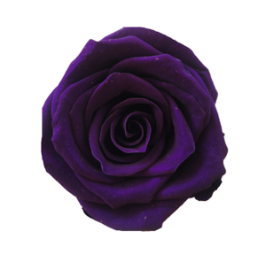 rosa violeta eterna preservada