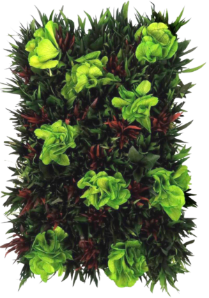 panel preservado muro verde jardines verticales preservados grevillea hortensia