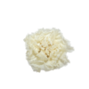 clavel natural blanco preservado mayorista productor