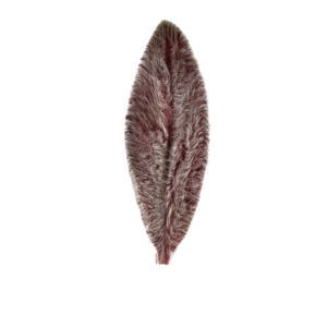 stachys oreja de cordero rojo preservado estabilizado productor mayorista terciopelo