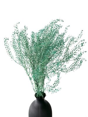 lepidium preservado, lepidium turquesa preservado, relleno preservado