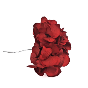 posy de hortensia stabilisé, fleur stabilisé, bouquet stabilisé grossiste fournisseur