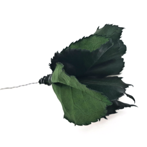 posy de feuilles de rose stabilisées, fournisseur grossiste, feuillage stabilisé
