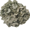 preserved hydrangea stabilised, wholesale to buy, producer