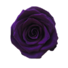 Rose medium - Image 11