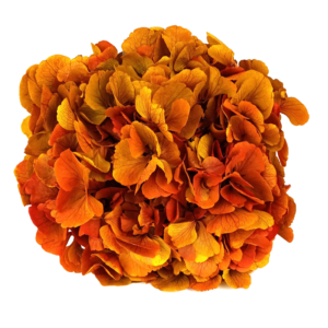 preserved hydrangea bouquets