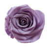Rose medium - Image 10