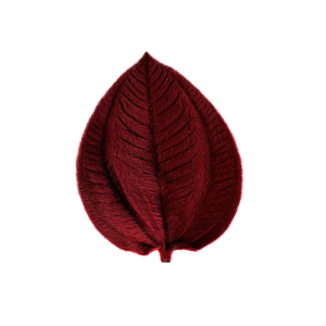 Preserved red tibouchina velvety leaf red