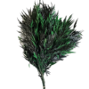 Preserved grevillea tree branches
