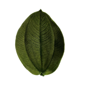 Preserved tibouchina decorative velvet leaf green