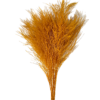 Preserved tree fern - tiki fern - asparagus yellow wholesale