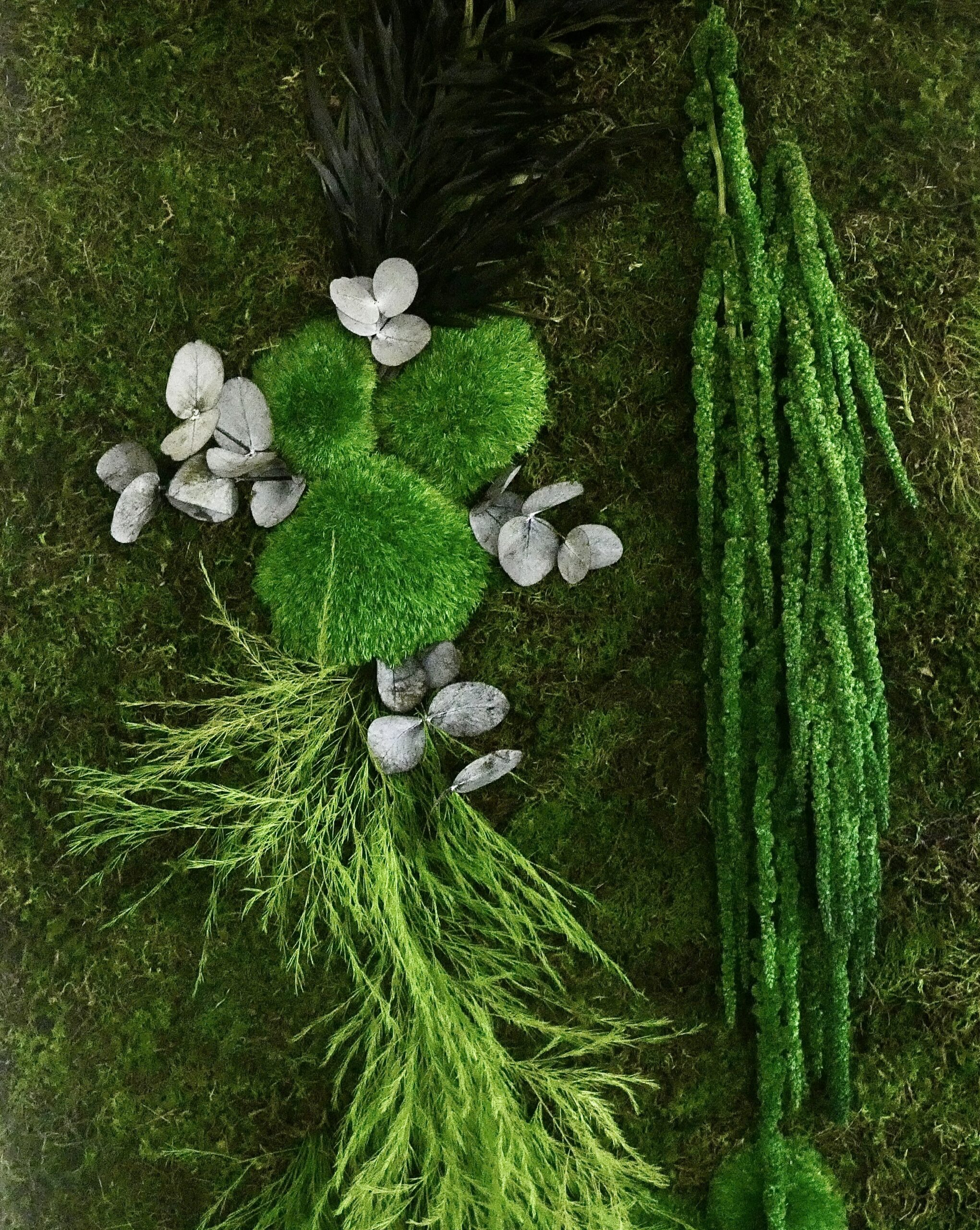 Preserved Moss on Rolls : The Perfect Base for Stunning Green Walls