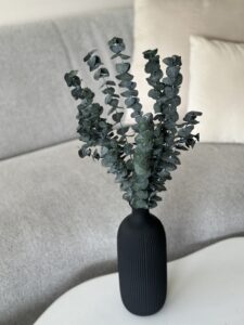 dried preserved eucalyptus baby blue wholesale