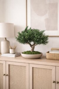 preserved bonsai cypress juniperus wholesale producer