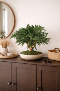 preserved bonsai leather fern wholesale producer
