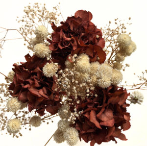 preserved dried gomphrena natural ivory white wholesale