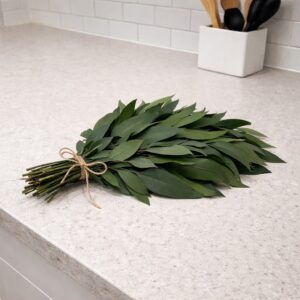 preserved eucalyptus blue gum green, preserved foliages wholesale